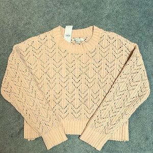 NWT, Super Soft American Eagle Crop Sweater